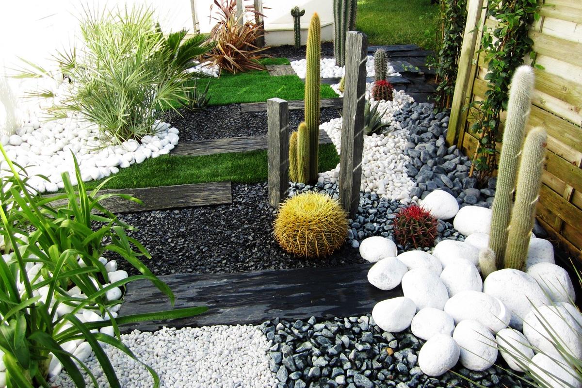 Jardim com Cactos e Suculentas
