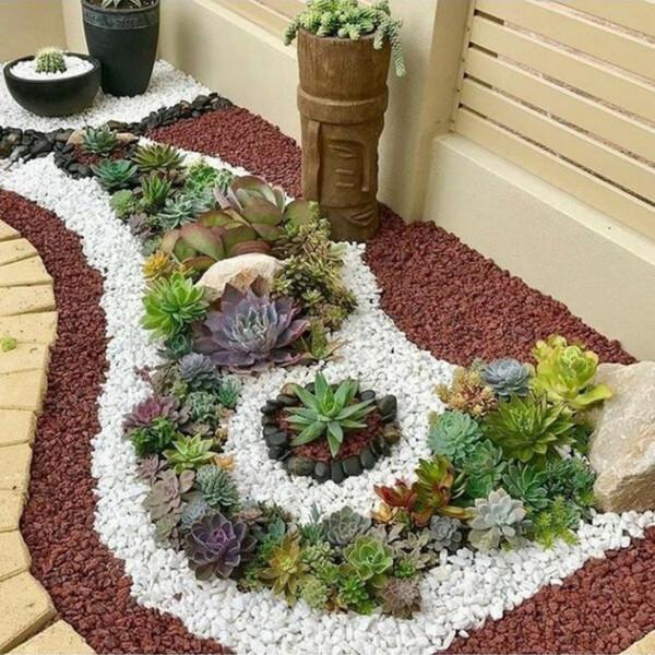 Jardim com Cactos e Suculentas